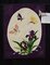 Iris Butterflies, Marian Shenk
