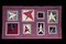Stars