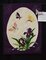 Iris Butterflies, Marian Shenk